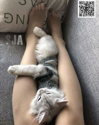 日韩专区av_蓝光BD在线观看