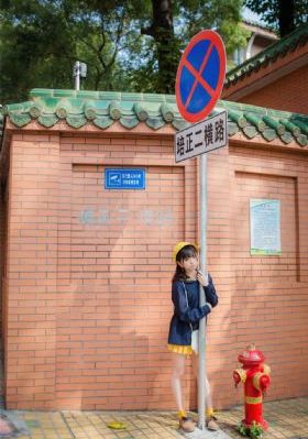警察锅哥第一季免费全集剧情_BD国语日韩电影在线